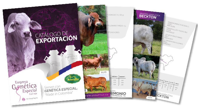 EGE-catalogo-toros-exportacion