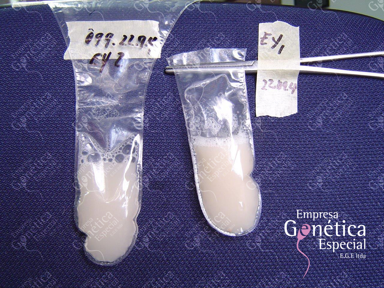 hemospermia-tratamientos-alternativo