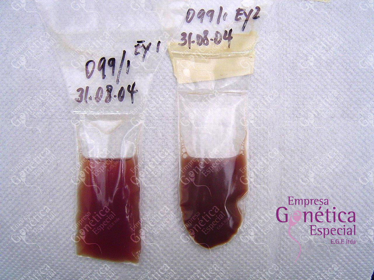 hemospermia-tratamientos-alternativo