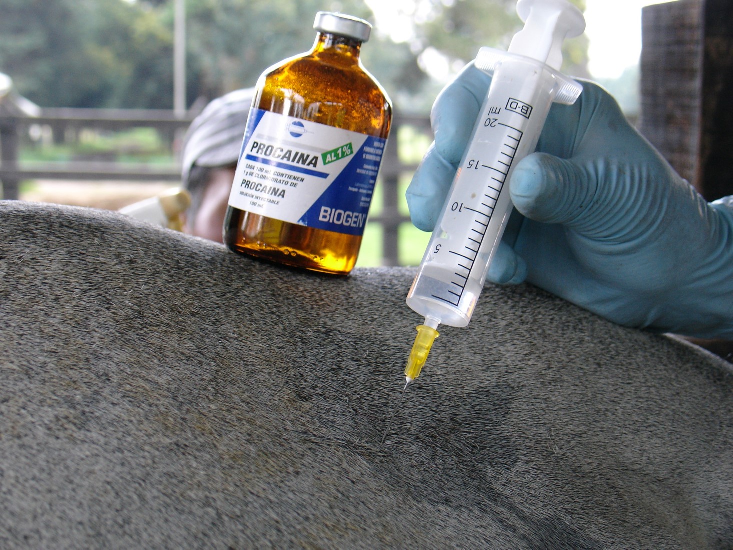 tratamiento-homeopatia