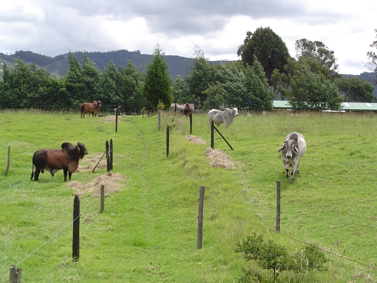 WhatsApp-Image-2019-05-20-at-5.00.29-PM