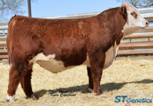 Flintlock (Estados Unidos)