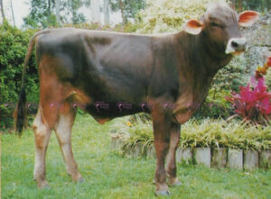 TOP ACRES BANKER PARNELL